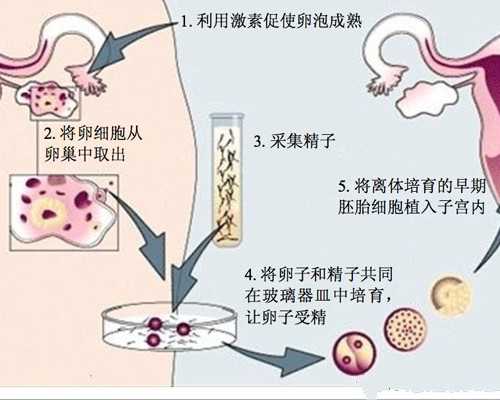 济南供卵助孕收费,2024济南三代试管**男孩成功率高的医院有哪些