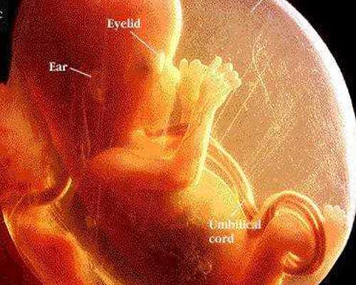 济南借卵助孕服务,济南试管婴儿成功率比较高的医院