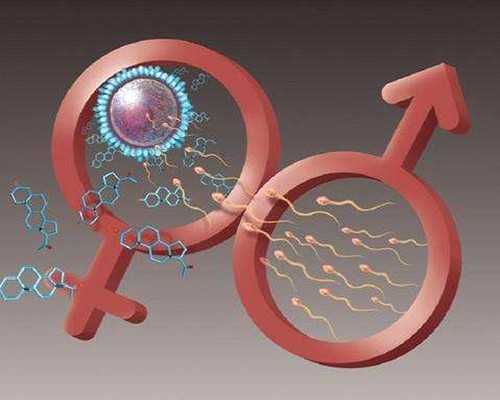 济南正规代生机构,2024济南哪家试管婴儿医院好？附试管费用介绍