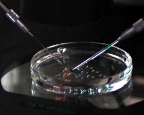 济南供卵生孩子公司 济南市中心医院试管婴儿医生有哪些 ‘孕囊三个数一大两