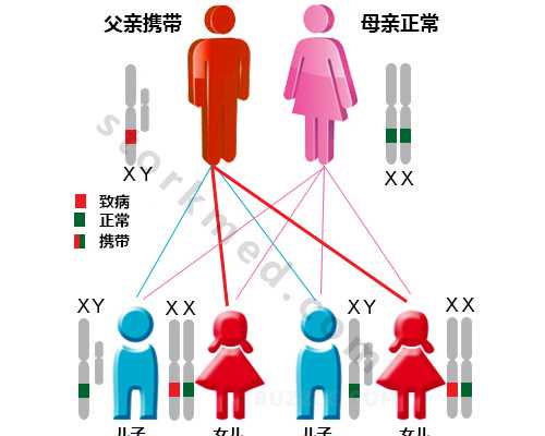 济南三代供卵试管男孩,济南助孕机构-济南助孕咨询公司