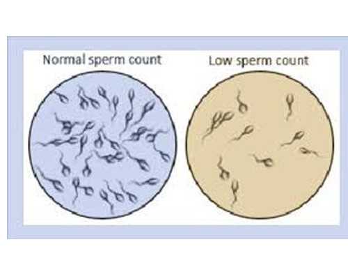 济南供卵专业机构 济南山东大学附属生殖医院,试管婴儿成功率高么? ‘看nt图看