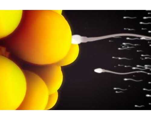 济南代孕捐卵公司,说一下济南供卵