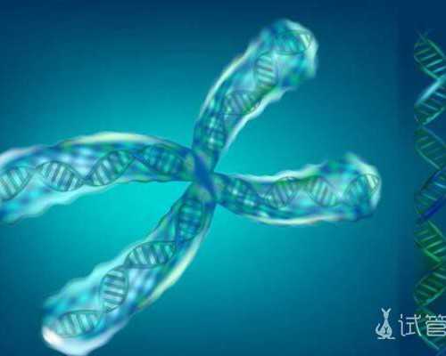 济南正规供卵网,济南省立医院供卵试管婴儿租房