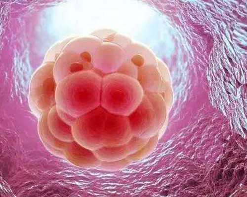 济南医院供卵助孕,齐鲁济南试管婴儿一般多少钱，中介收费23278元