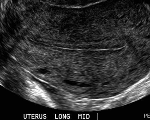 济南代孕产子包成功,济南齐鲁花园医院生殖医学中心
