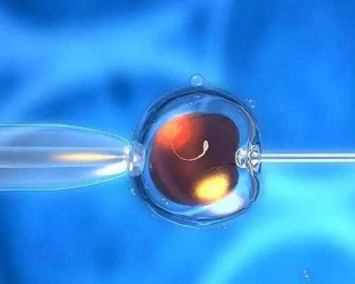 济南代孕网成功率,济南试管供卵，附2024最新费用及成功率