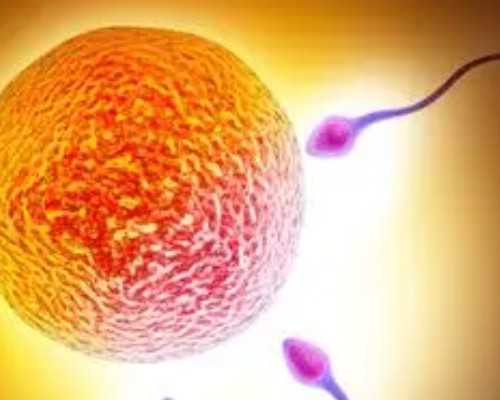 济南供卵代孕医院,济南的春天老舍简介，济南的春天老舍