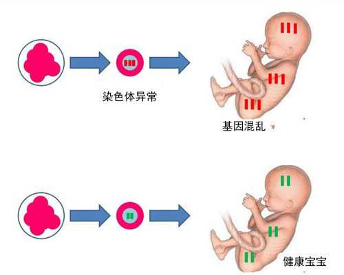 济南供卵产子公司,济南供卵包生男孩，eBay123卖家网址导